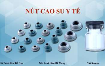 Nut Cao Su 3